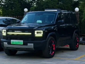 Negro Haval Menglong con nuestras luces de la parrilla del coche instalado en la parrilla delantera.
